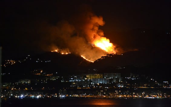 Incendi, in 7 mesi a fuoco oltre 30mila ettari. Sicilia, Calabria e Puglia le più colpite Incendi, in 7 mesi a fuoco oltre 30mila ettari. Sicilia, Calabria e Puglia le più colpite