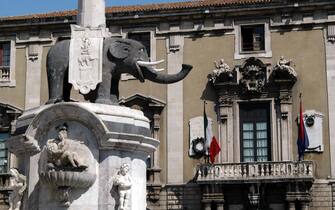 DEMANIO - 20061212 CATANIA : In primo piano il Liotro, simbolo di Catania e sullo sfondo il Municipio.  ORIETTA SCARDINO