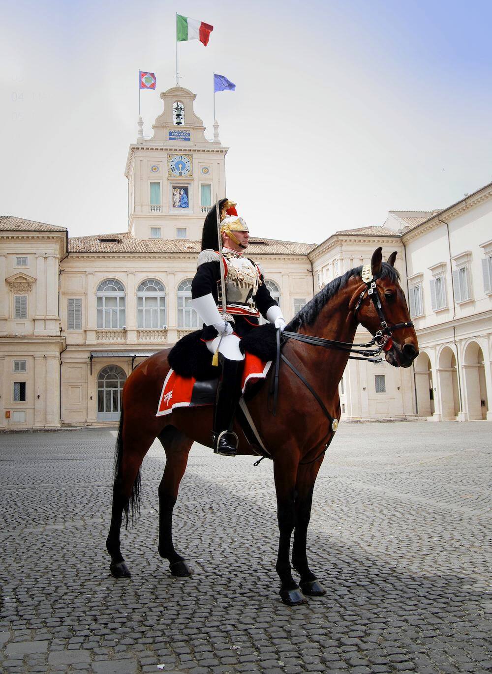 i cavalli dei corazzieri del quirinale