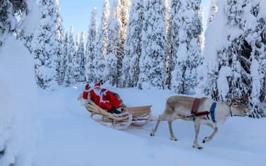 Santa Claus on reindeer sleigh, Ruka (Kuusamo), Northern Ostrobothnia region, Lapland, Finland