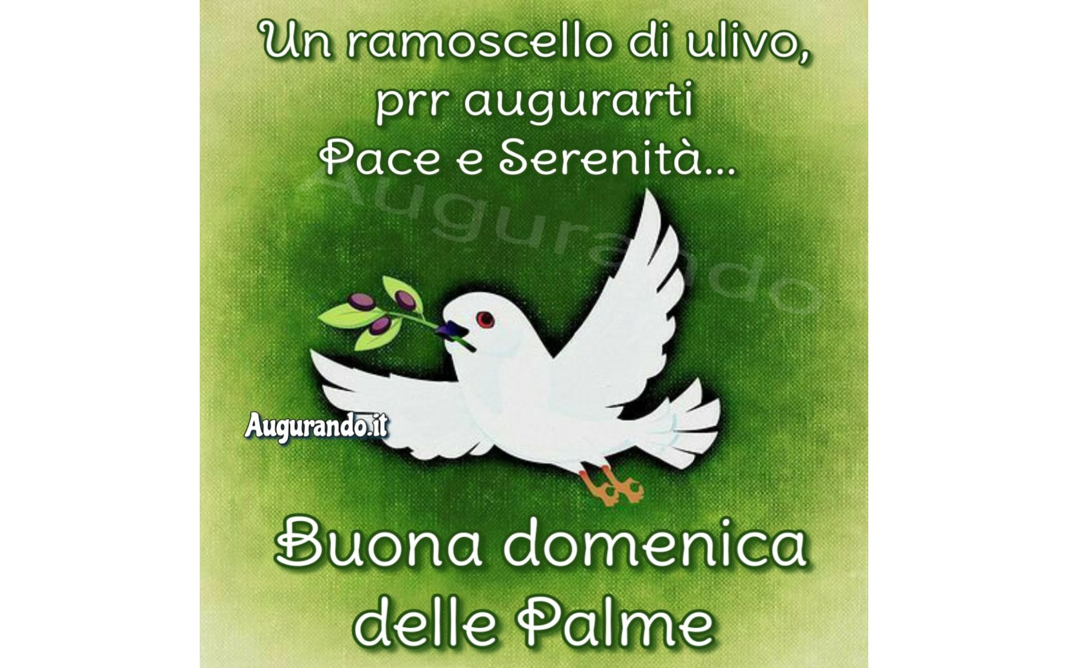 Buongiorno e buona Domenica delle Palme, immagini e frasi d'auguri da