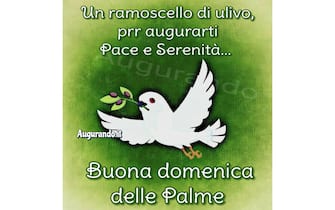 auguri domenica delle palme