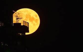 30 August 2023, Berlin: The so-called supermoon rises behind a high-rise building at the East Side Galery. Photo: Paul Zinken/dpa (Photo by Paul Zinken/picture alliance via Getty Images)