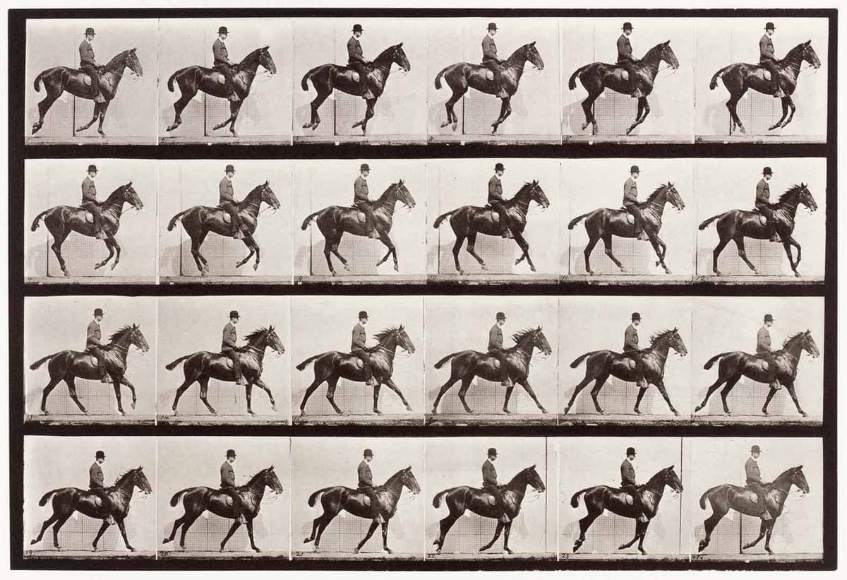 Museo-Poldi-Pezzoli-Muybridge-Daisy-Cantering.jpg