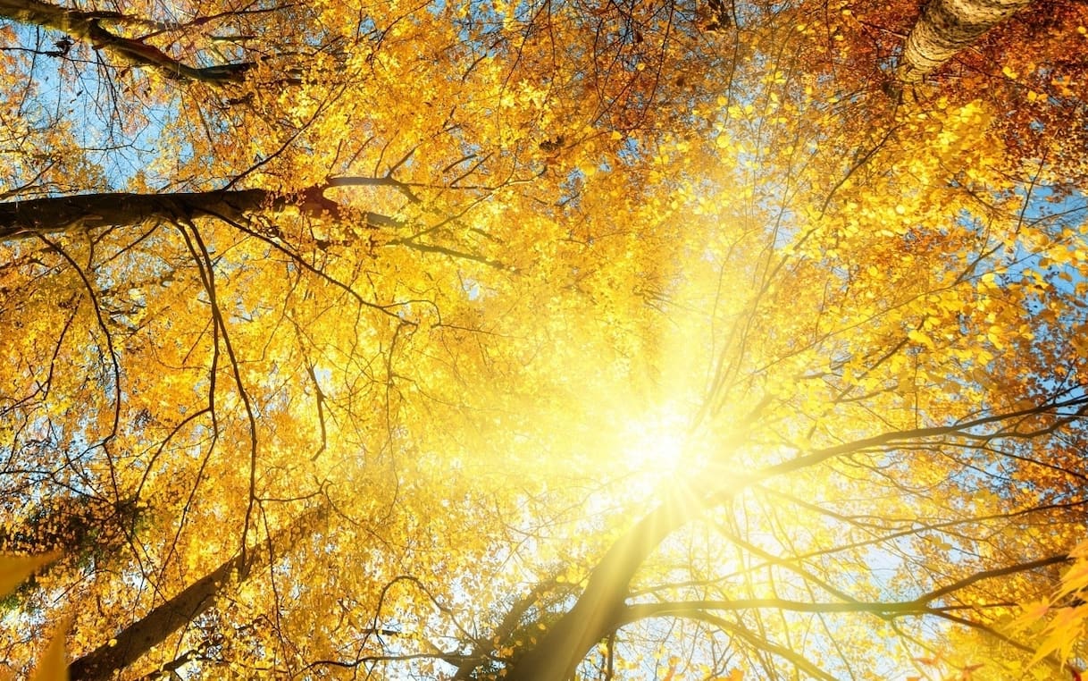 Meteo, caldo e temperature in rialzo: ottobrata al Centro Nord. Le previsioni