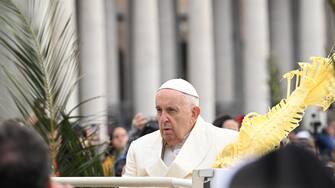 papa francesco domenica palme