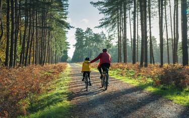 The mature father (in his 40s) helps his daughter by giving her a helping hand (a little push)