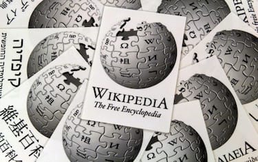 wikipedia_ansa