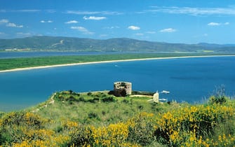 feniglia spiagge toscana