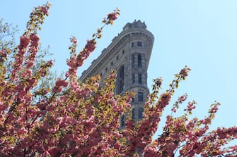 NEW YORK, NY - APRIL 23: The sun illuminates blossoms in front of the Flatiron Building on April 23, 2019 in New York City. (Photo by Gary Hershorn/Getty Images)