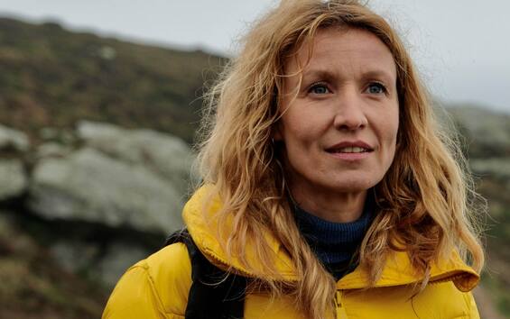 La stanza delle meraviglie, tutto ciò che c'è da sapere sul film di