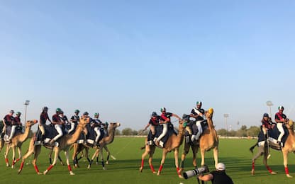 Verstappen e Albon si danno al... Camel Polo! FOTO