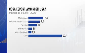 cosa esportiamo negli usa