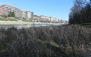 Fiume Po in secca a Torino, 3 febbraio 2023. ANSA/ALESSANDRO DI MARCO