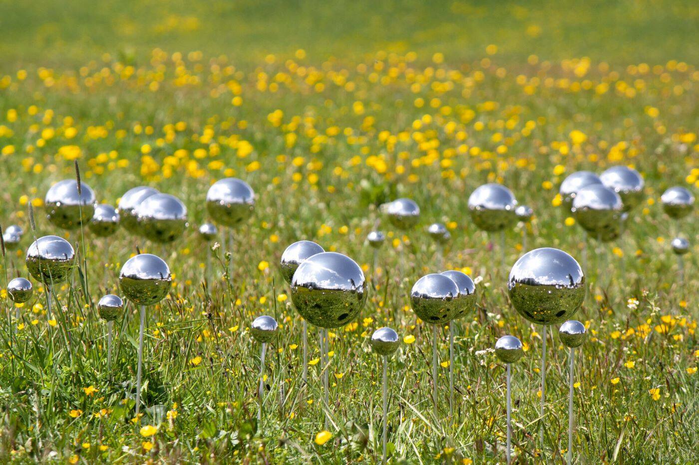 Stefano Caimi, Fairy Ring, 2023, ph. credit dell’artista