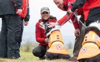 MERTHYR TYDFIL, WALES - APRIL 27: Catherine, Princess of Wales and Prince William, Prince of Wales meet with a Search Dog on the Mountain Rescue Team during a visit to Central Beacons Mountain Rescue Team on their 2 day visit to Wales on April 27, 2023 in Merthyr Tydfil, Wales. The Prince and Princess of Wales are visiting the country to celebrate the 60th anniversary of Central Beacons Mountain Rescue and to meet members of local communities. (Photo by Samir Hussein/WireImage)