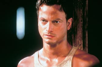 gary sinise film