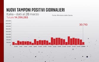 positivi covid andamento