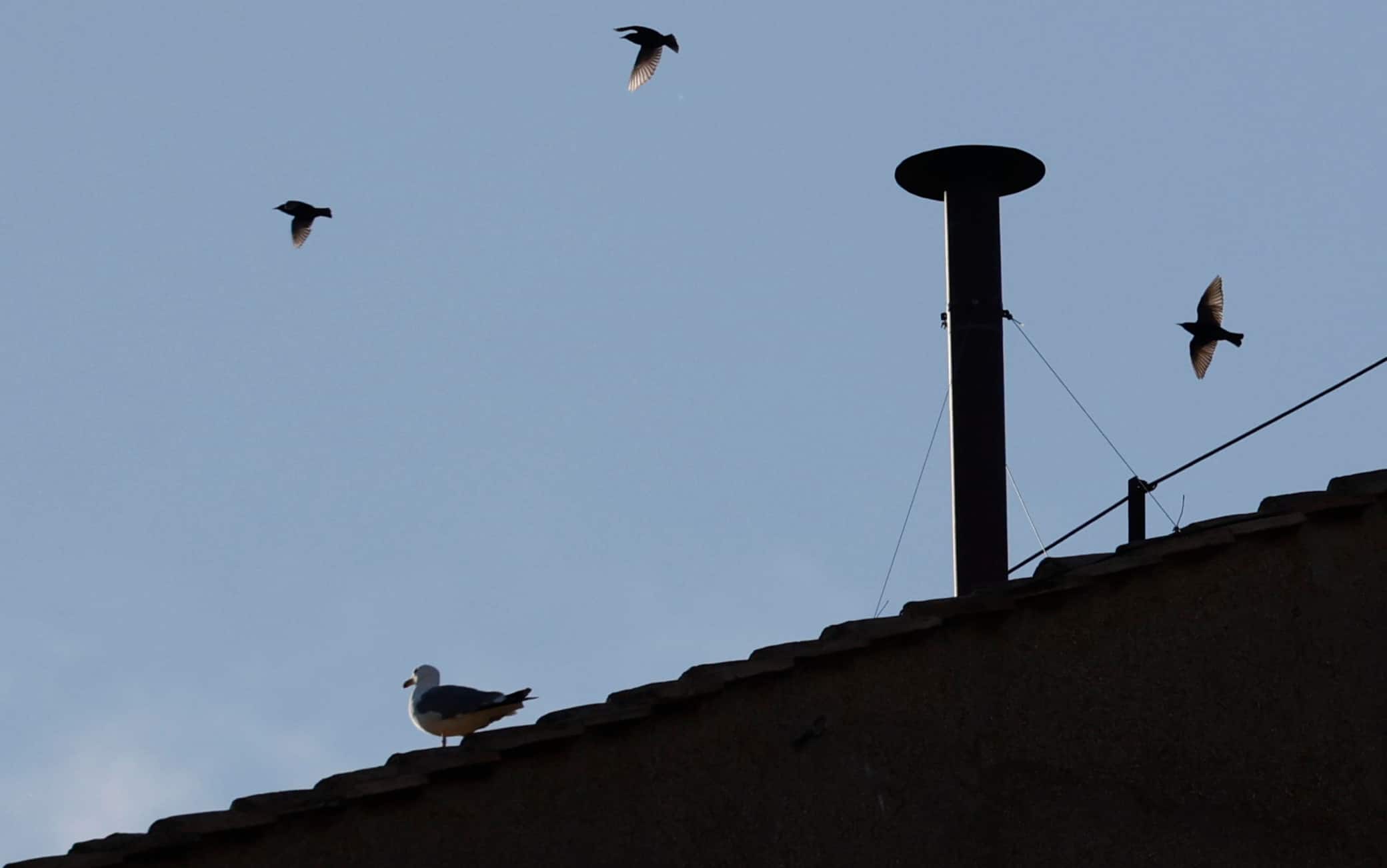 Comignolo conclave