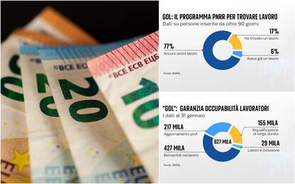 Lavoro, non solo Rdc e Mia. Per favorire l'occupazione c'è già la Gol