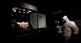SAN GENNARO, TESORO, NAPOLI, SANIFICAZIONE,MUSEO,CORONAVIRUS,COV