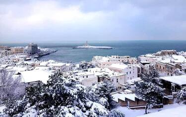 vieste_neve