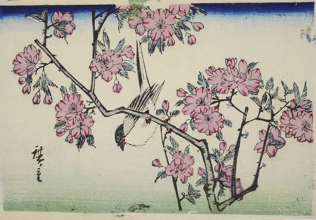 _Utagawa_Hiroshige_III_Uccello_su_un_ramo_di_ciliegio_stampa_xilografica_1860_circa.jpg