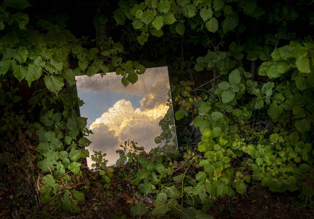 _Andrea_Tirindelli_Oltre_il_visibile_della_natura_2019_Stampa_fine_art_su_carta_cotone_Hahnemühle_70x100_cm_edizione_di_5_courtesy_MADE4ART.jpg
