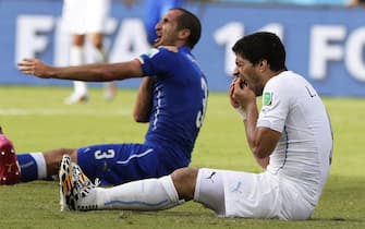epa04278252 Italy's Giorgio Chiellini (L) claims he was bitten by Uruguay's Luis Suarez (R) during the FIFA World Cup 2014 group D preliminary round match between Italy and Uruguay at the Estadio Arena das Dunas in Natal, Brazil, 24 June 2014. 

(RESTRICTIONS APPLY: Editorial Use Only, not used in association with any commercial entity - Images must not be used in any form of alert service or push service of any kind including via mobile alert services, downloads to mobile devices or MMS messaging - Images must appear as still images and must not emulate match action video footage - No alteration is made to, and no text or image is superimposed over, any published image which: (a) intentionally obscures or removes a sponsor identification image; or (b) adds or overlays the commercial identification of any third party which is not officially associated with the FIFA World Cup)  EPA/EMILIO LAVANDEIRA JR   EDITORIAL USE ONLY