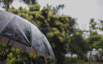 On a rainy Day umbrella under rain against green background,  Umbrella during the rainy season .