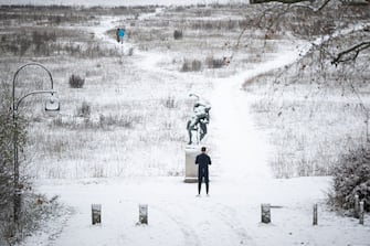 28 November 2023, Berlin: People walk through the Volkspark Rehberge. In the foreground is the bronze sculpture "Ringer" by Wilhelm Haverkamp. Photo: Sebastian Gollnow/dpa (Photo by Sebastian Gollnow/picture alliance via Getty Images)