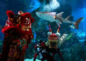 epa11130721 Scuba divers perform an underwater dragon dance during a special seasonal performance to celebrate the upcoming Chinese Lunar New Year at Sea Life Bangkok Ocean World aquarium in Bangkok, Thailand, 06 February 2024. The Chinese Lunar New Year, also called the Spring Festival, falls on 10 February 2024, marking the start of the Year of the Dragon.  EPA/RUNGROJ YONGRIT