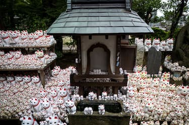 2. Il tempio di Gotokuji