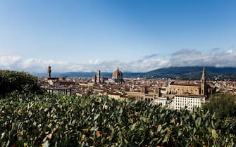 Panorama of Florence under the hot summer sun