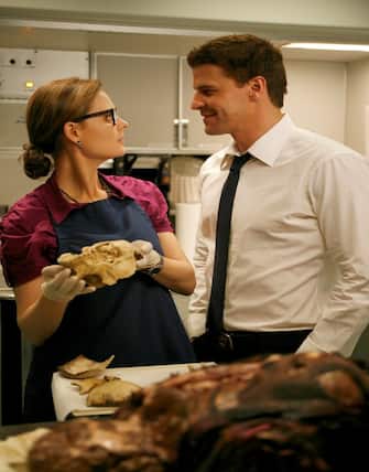 BONES:  During a flight to China, Booth (David Boreanaz, R) and Brennan (Emily Deschanel, L) are enlisted to help solve a murder when a body is found in the microwave oven of the plane in the BONES episode &quot;The Passenger in the Oven&quot;  airing Wednesday, Nov. 19 (8:00-9:00 PM ET/PT) on FOX.  &copy;2008 Fox Broadcasting Co.  Cr:  Greg Gayne/FOX