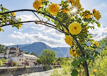 In Alto Adige per il Merano Flower Festival