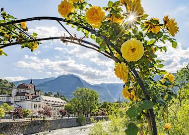 In Alto Adige per il Merano Flower Festival