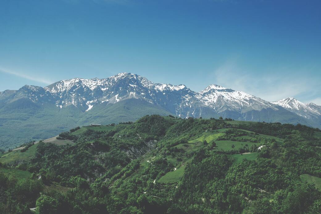 Photo_by_Yoal_Desurmont_on_Unsplash.jpeg