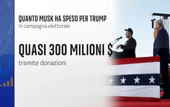 quanto musk ha speso per trump
