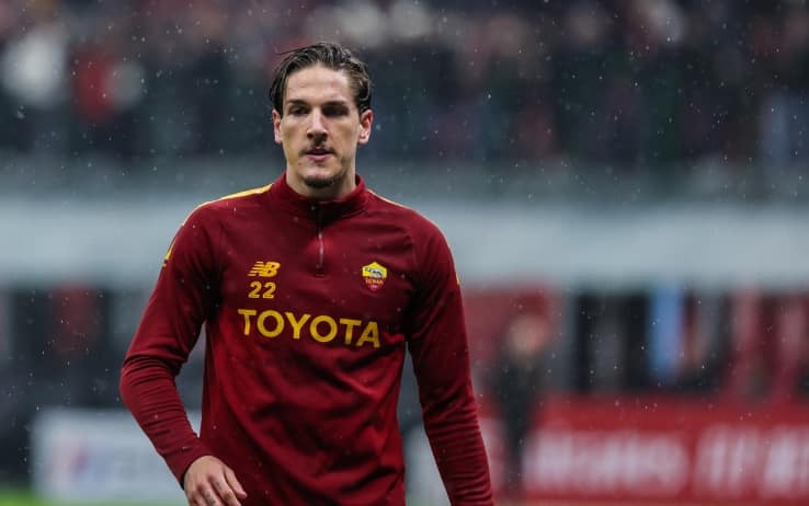 zaniolo_ipa_2.jpg