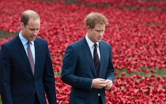 epa08116537 (FILE) - Britain's Prince William, Duke of Cambridge (L) and Prince Harry, Duke of Sussex, (R) walk through a sea of red poppies inside the moat at the Tower of London in London, Britain, 05 August 2014 (reissued 10 January 2020). Britain's Prince Harry and his wife Meghan have announced in a statement on 08 January that they will step back as 'senior' royal family members and work to become financially independent.  EPA/WILL OLIVER *** Local Caption *** 54290092