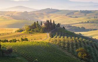 Val d'Orcia, Tuscany, Italy. Springtime, Path, meadow fields, rolling hills and cypress trees