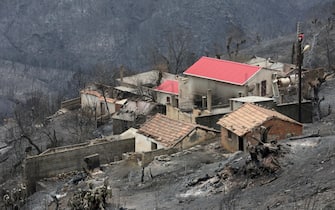 epaselect epa10767816 A general view on burned houses in the village of de Oeud Das in Bejaia east of Algiers, Algeria, 25 July 2023.  The Algerian Ministry of the Interior announced at least 34 people died, including 24 civilians and 10 members of the National Army and 26 people are injured in multiple forest fires across the country.  EPA/STR