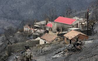 case incendiate in Algeria