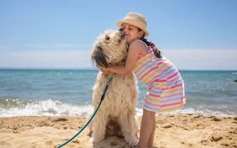 Cani in spiaggia