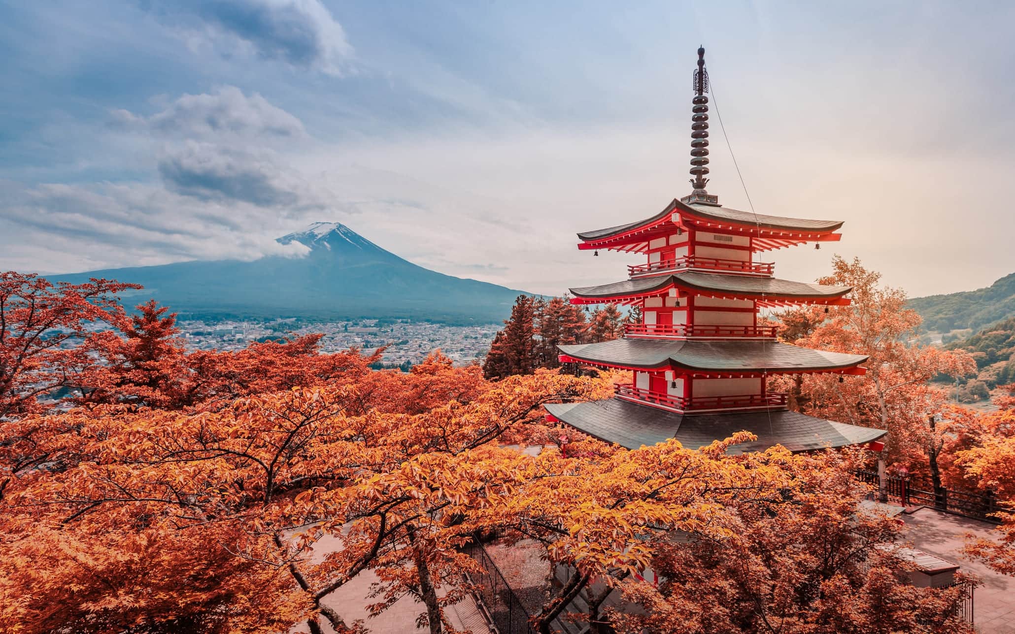 Giappone, profezia manga annuncia disastro 5 luglio 2025: turisti in fuga  dal paese | Sky TG24