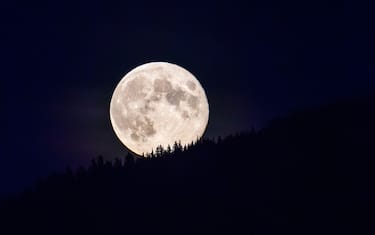 The full moon rises above the forested slope of a mountain in Glacier National Park in Montana, USA.