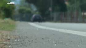 Circeo, tre giovani travolti da auto pirata: muore 16enne