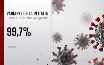 Grafiche coronavirus: la variante Delta in Italia