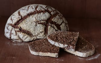 Deliciously healthy homemade no kneed rustic rye bread made in Dutch Oven. Rye flour and 100% whole wheat flour used, along with coriander & fennel seeds for special touch. Amazingly gorgeous texture, rich taste and crispy crust. Sun-moon face pattern scoring atop.